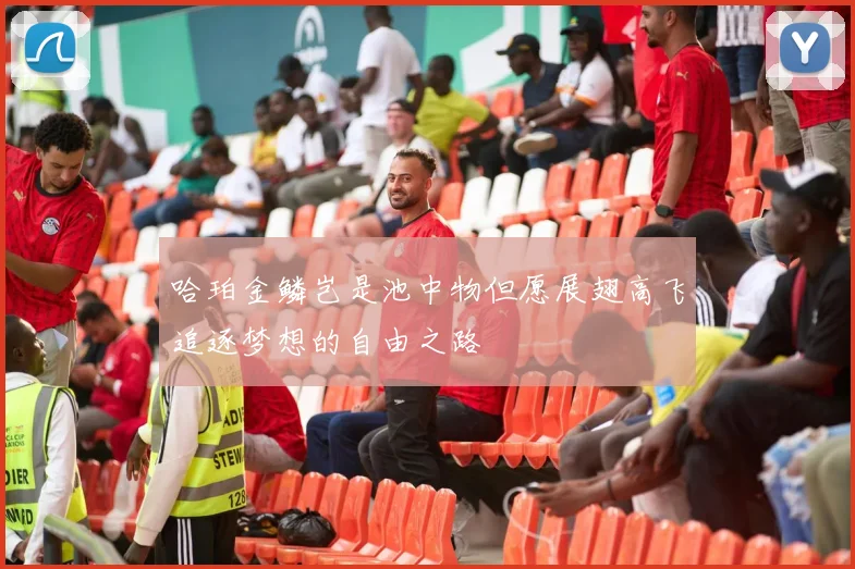 哈珀金鳞岂是池中物但愿展翅高飞追逐梦想的自由之路